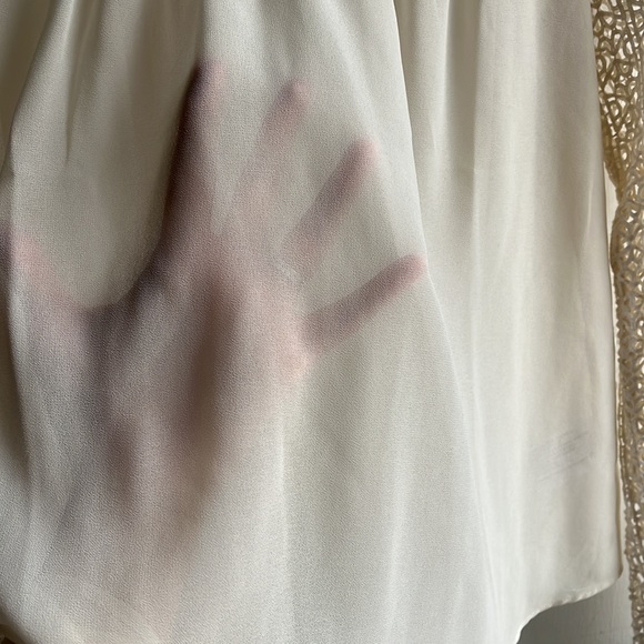 Sheer Blouse - Picture 3 of 6